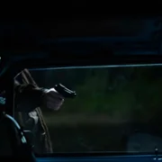 Il mostro - galeria zdjęć - filmweb