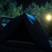 Il mostro - galeria zdjęć - filmweb