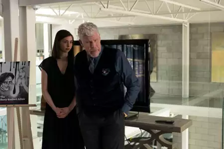 Prawda o sprawie Harry&rsquo;ego Queberta - galeria zdjęć - filmweb