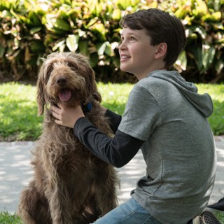 Oliver