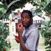 Paterson Joseph w Zielone palce