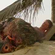 Send Help - galeria zdjęć - filmweb