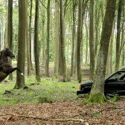 Pensjonat nad rozlewiskiem - galeria zdjęć - filmweb