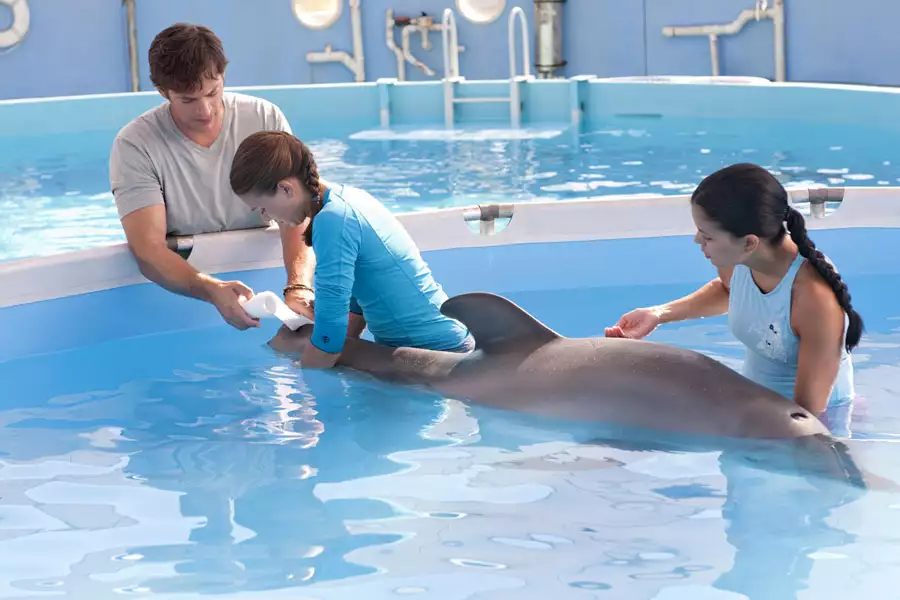 Mój przyjaciel Delfin 3D - galeria zdjęć - filmweb