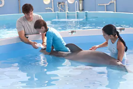 M&oacute;j przyjaciel Delfin 3D - galeria zdjęć - filmweb
