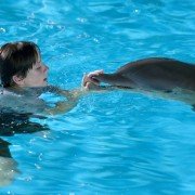Dolphin Tale - galeria zdjęć - filmweb