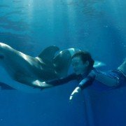 Dolphin Tale - galeria zdjęć - filmweb
