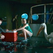 Dolphin Tale - galeria zdjęć - filmweb