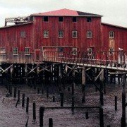 Cthulhu - galeria zdjęć - filmweb
