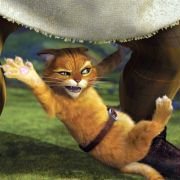 Shrek 2 - galeria zdjęć - filmweb