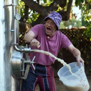 Platonic - galeria zdjęć - filmweb