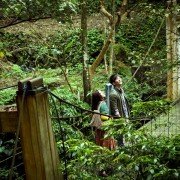 Gei Ai Li Si De Qi Ji - galeria zdjęć - filmweb