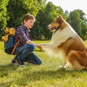 Lassie, wróć! - galeria zdjęć - filmweb