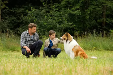 Lassie, wróć - galeria zdjęć - filmweb