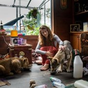 Le loup et le lion - galeria zdjęć - filmweb