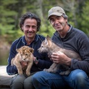 Wilk, lew i ja - galeria zdjęć - filmweb