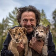 Wilk, lew i ja - galeria zdjęć - filmweb