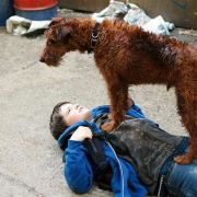 Strażacki pies - galeria zdjęć - filmweb