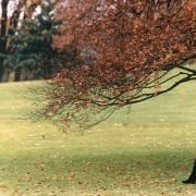 Ma femme est une actrice - galeria zdjęć - filmweb