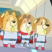 Psy w kosmosie - galeria zdjęć - filmweb