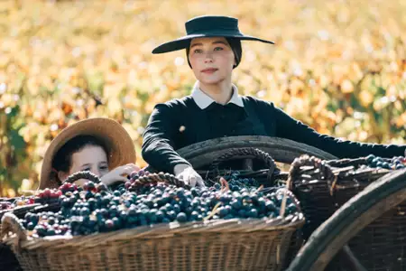 Wdowa Clicquot - galeria zdjęć - filmweb