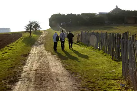 Wielka ekstaza Roberta Carmichaela - galeria zdjęć - filmweb