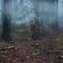 Mizerykordia - galeria zdjęć