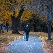 The Lords of Salem - galeria zdjęć - filmweb