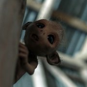 Nisser - galeria zdjęć - filmweb
