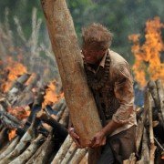 Dżungla - galeria zdjęć - filmweb