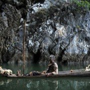 Dzhungli - galeria zdjęć - filmweb