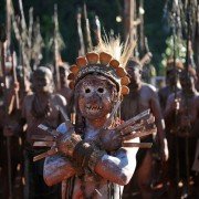 Dzhungli - galeria zdjęć - filmweb