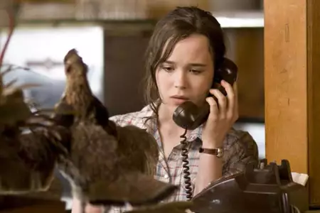 Peacock - galeria zdjęć - filmweb