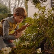 The Velveteen Rabbit - galeria zdjęć - filmweb