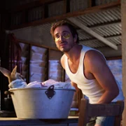 Kangaroo - galeria zdjęć - filmweb