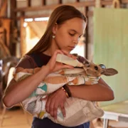 Kangaroo - galeria zdjęć - filmweb