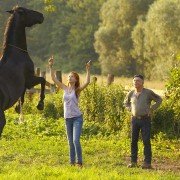 Wicher - galeria zdjęć - filmweb