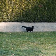 La nuit du 12 - galeria zdjęć - filmweb