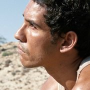 Harka - galeria zdjęć - filmweb