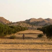 Harka - galeria zdjęć - filmweb