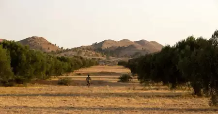 Harka - galeria zdjęć - filmweb