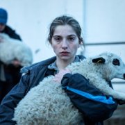 As bestas - galeria zdjęć - filmweb