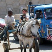 The Story of Film: An Odyssey - galeria zdjęć - filmweb