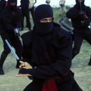 American Ninja - galeria zdjęć - filmweb