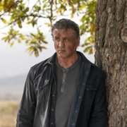 Rambo: Last Blood - galeria zdjęć - filmweb