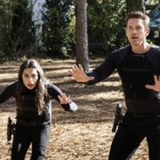 True Lies - galeria zdjęć - filmweb