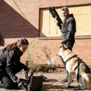 True Lies - galeria zdjęć - filmweb