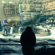 L'innocent - galeria zdjęć - filmweb