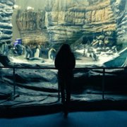 L'innocent - galeria zdjęć - filmweb