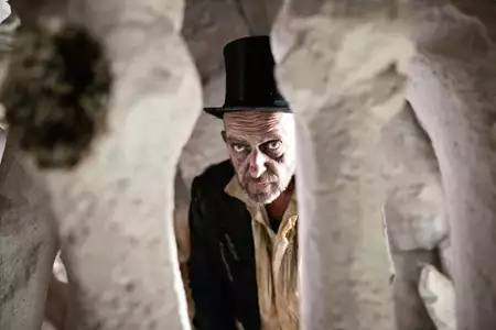 Magiczny Kwiat Paproci - galeria zdjęć - filmweb